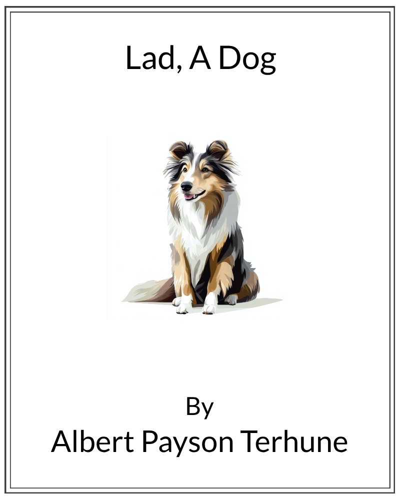 Cover image for Lad: A Dog